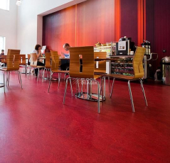 Forbo Marmoleum Decibel on Order 312735 Bleeckerstreet фото 2 | FLOORDEALER